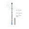 Göz Kalemi Açık Mavi - Eye Pencil No: 305